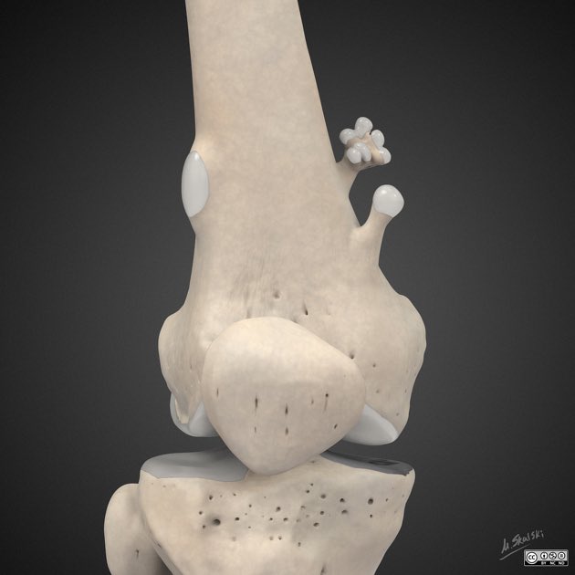 Andrés Figueroa tweet media