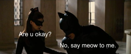 catwoman69 tweet media