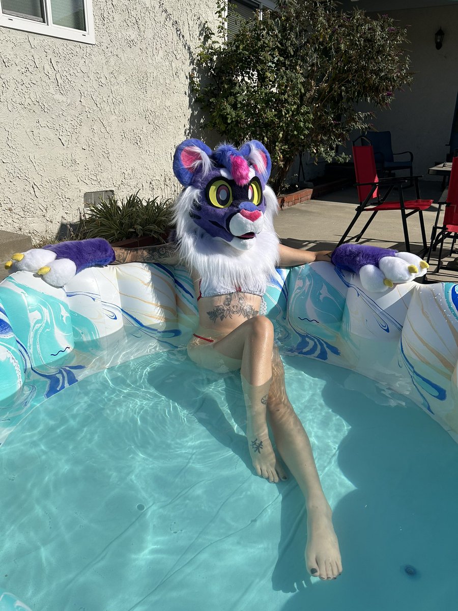 This pretty kitty wants to spend the rest of the summer by the poolside ☀️🍉 Won’t you take them home? Short payment plans are available and I am open to offers around $2500! Feel free to comment or DM with any questions 💜