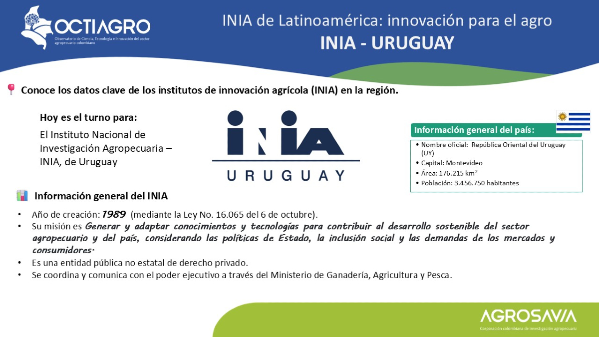 SomosAGROSAVIA's tweet photo. 🇺🇾 Uruguay – INIA
🐄💡 Los INIA fortalecen el sector agropecuario con CTI de alto impacto. Hoy te presentamos al INIA Uruguay, que impulsa el desarrollo sostenible con soluciones científicas y productivas.
Conoce más sobre los INIA de Latinoamérica: innovación para el agro.

#INIAUruguay #CTIA #InnovaciónAgro #OCTIAGRO#CienciaParaElAgro
