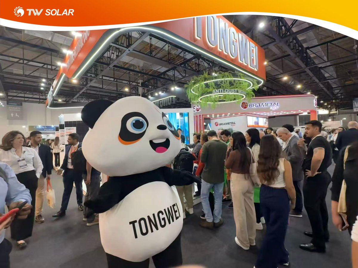 Tongwei_Solar's tweet photo. 🇧🇷✨ Obrigado, São Paulo!

Tongwei Solar wrapped up Intersolar South America 2025. Thanks to all partners &amp; visitors for your support. 🌞💚 See you again in Brazil next year! 👋

#TongweiSolar #IntersolarBrazil #TNC2_0 #BrazilSolar #CleanEnergy #LatinAmerica #SustainableFuture https://t.co/R1f08lXxmi