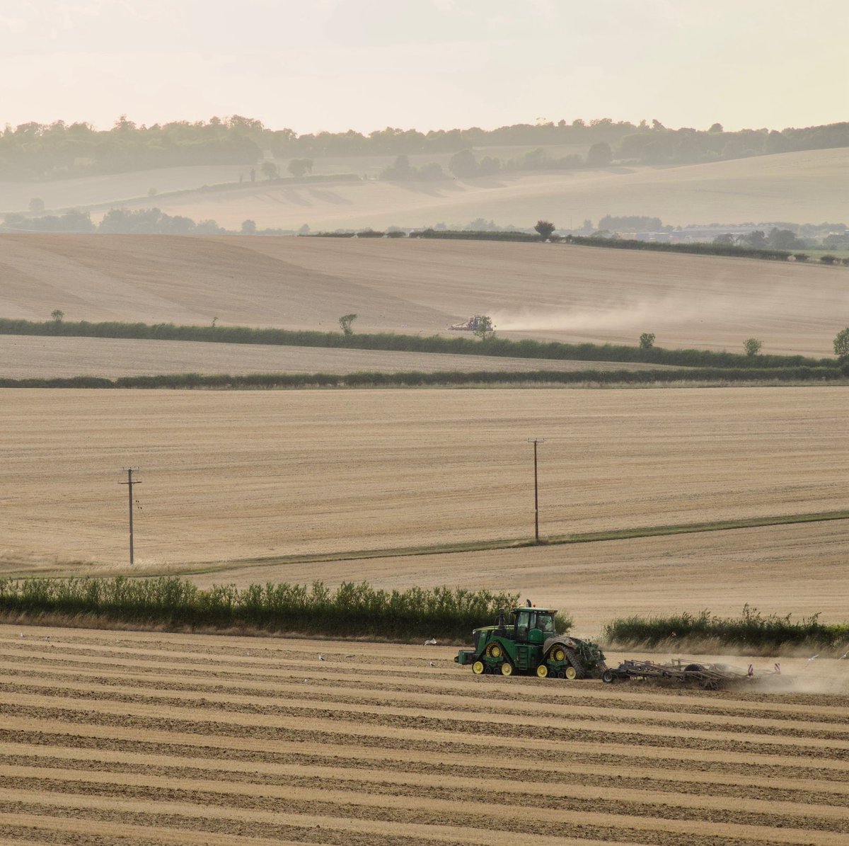 Jethro Tull would be amazed.

sciencedirect.com/science/articl…