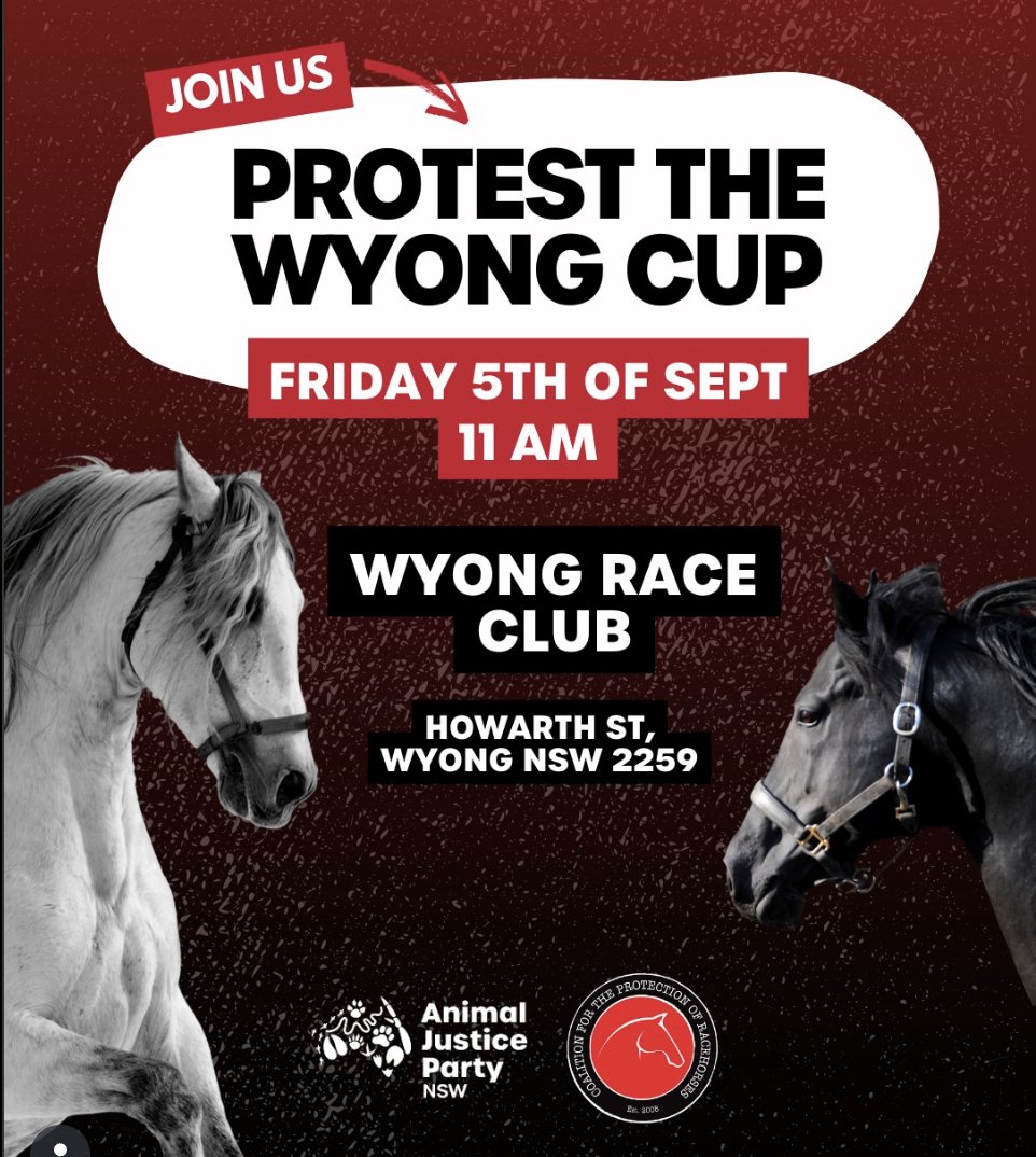 JOIN US!

Stand with us against the cruel horse racing industry.📢
 
📅 Friday 5 Sept · 11am · Wyong Racecourse

Join the Animal Justice Party, AJP regional groups and the Coalition for the Protection of Racehorses in united protest.

⚠️ Every two days a horse is killed on