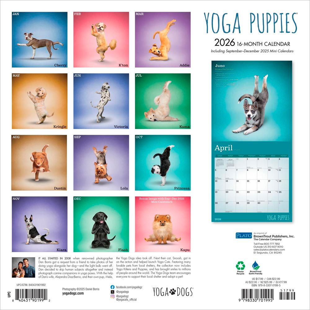 browntroutpub's tweet image. This classic square wall #calendar is the ideal way to bring stunning photos and designs into your home–or as a gift for friends and family. #YogaAnimals collection includes #YogaCats, #YogaDogs, #YogaKittens and #YogaPuppies. It brought smile to millions. buff.ly/XOFBhaM