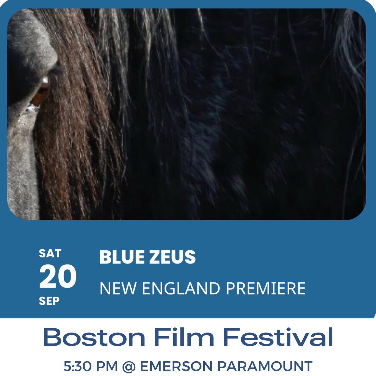 “The New England Premiere of Blue Zeus. The rescue of a wild mustang shines light on the plight of America’s #wildhorses, exposing a flawed, corrupt government system rampant with animal abuse and paralyzing bureaucracy.” Tickets: bostonfilmfestival.org/schedule-and-t…