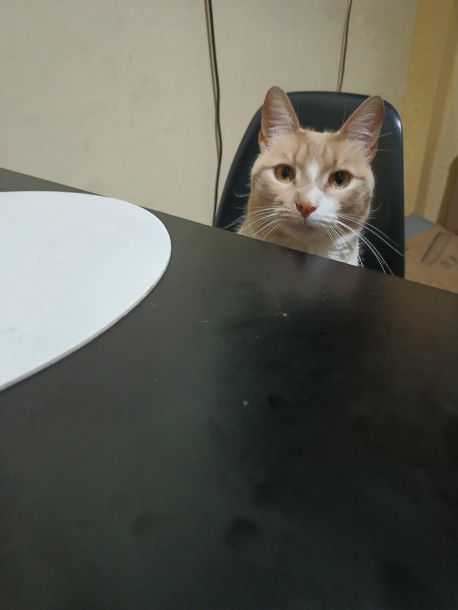 kroximatuz's tweet photo. Hoy toca ir al médico. Así que nos vemos mañana...
Con la nueva temporada de #PathOfExile2 💯🔥

Aún no se que voy a empezar pero solo diré que hay un chance mayor a 1% de que empiece con el monje de chalupa 👀

FotoPucho obligatoria https://t.co/w1W20l3Ykj