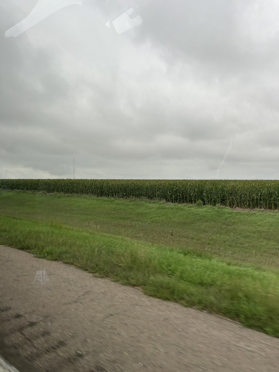 Dryland corn in SW Nebraska. Um wow.