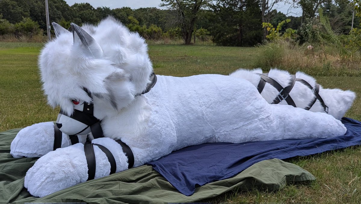 Cure vol.86 蜉蝣 大佑 Lycaon Cure vol.86 蜉蝣 大佑 Lycaon Cure vol.86 蜉蝣 大佑 Lycaon Cure vol