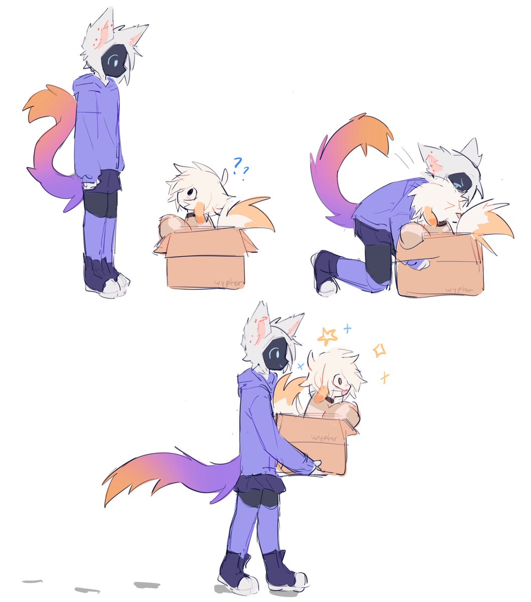 wyppy gets picked up and carried in their special box