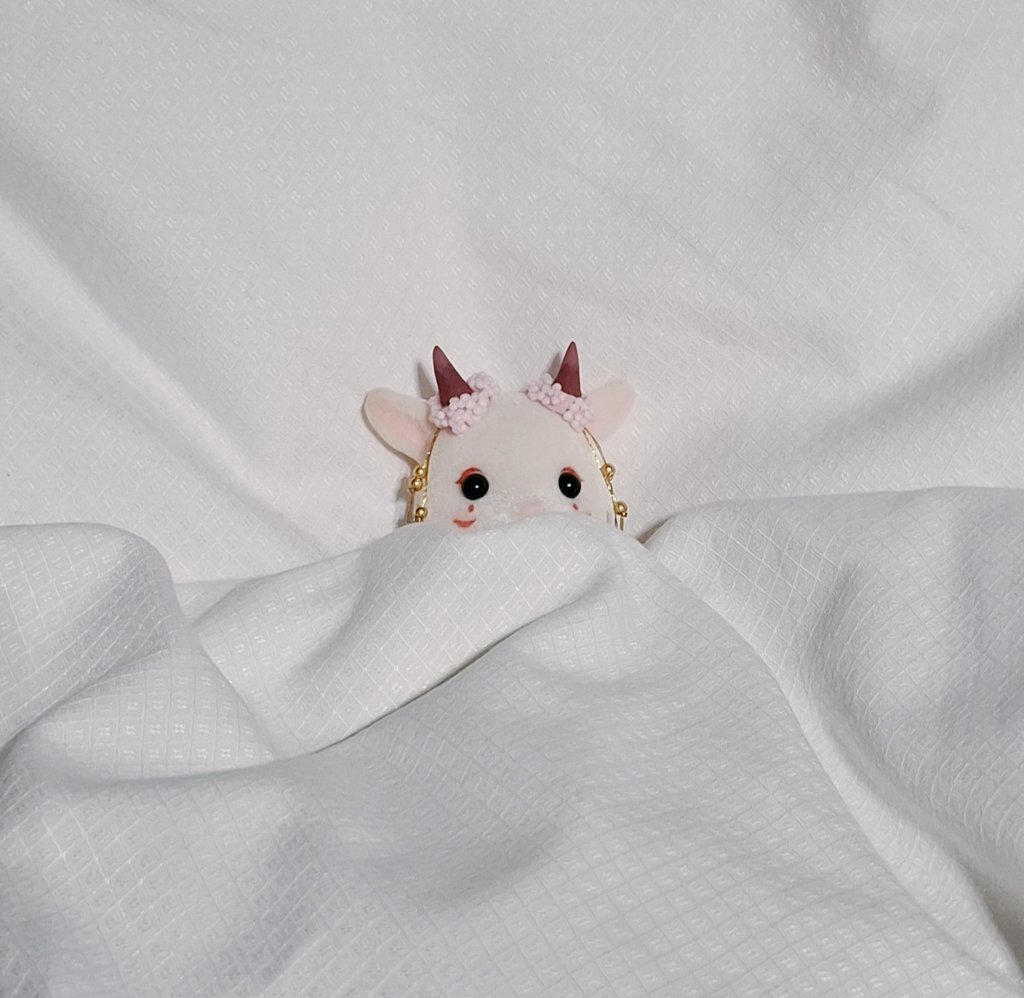 Llegué a mi casita hace un par de horitas, ha estado muy bien el pequeño viaje al norte 🌱🌱