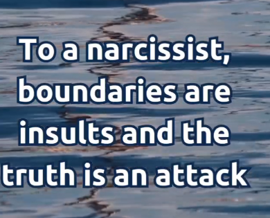 The Narcissist Box (@narcissistbox) on Twitter photo 