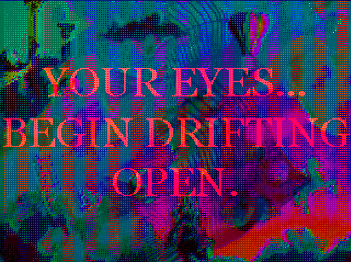 dvdPlayer💿 tweet media