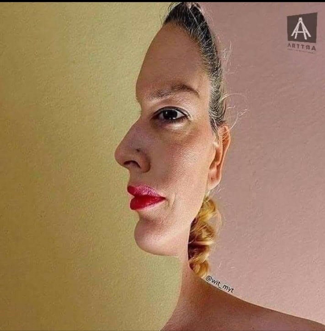 "Egemen sistemlerin dayattığı “tek bakış açısını aşmak gerekir "(R.A)

Nietzsche’ye göre tek ve mutlak bir hakikat yoktur; hakikat, bakış açılarının bir toplamıdır. 

Kant: Dünyayı şeylerin kendisi gibi değil, zihnimizin süzgecinden geçtiği haliyle görürüz.