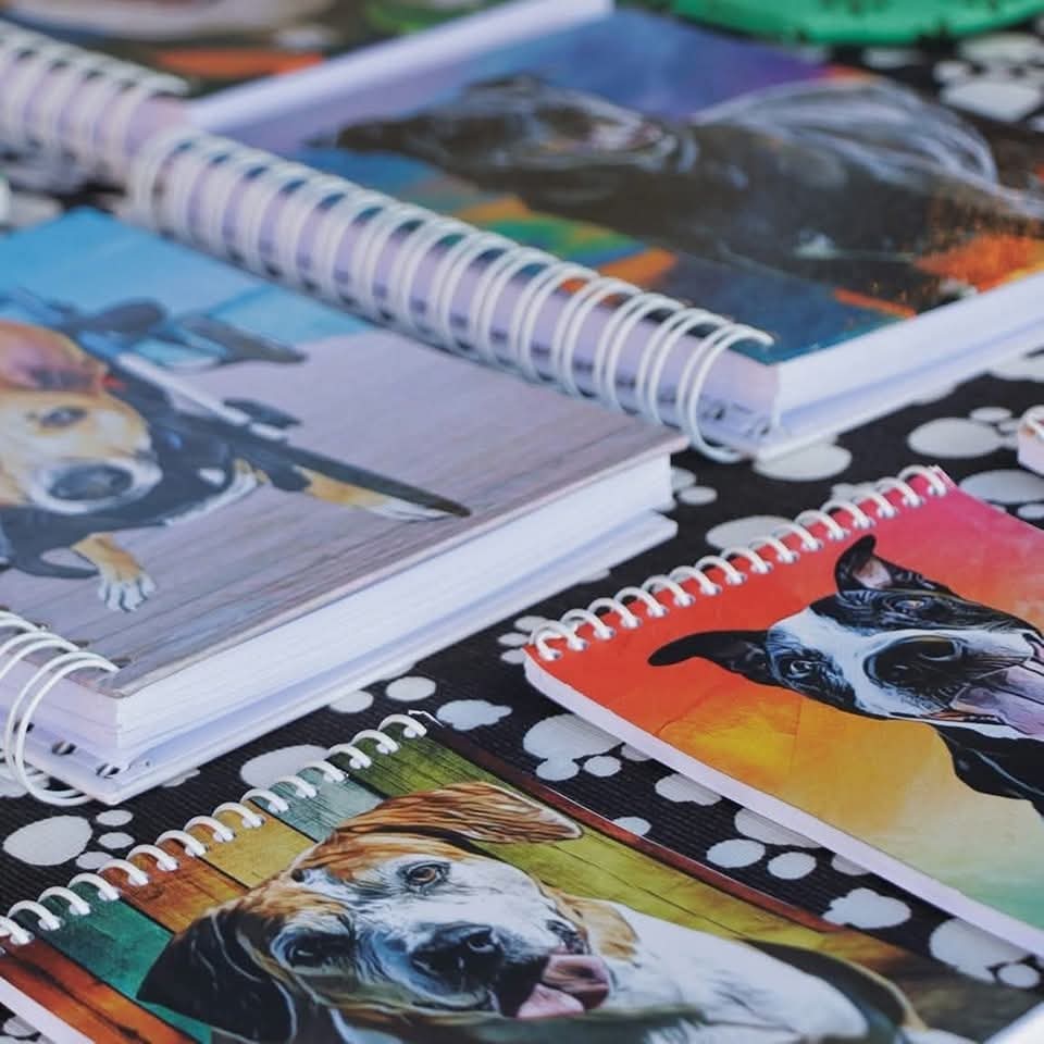 abrigojoaorosa's tweet image. Você sabia que cada produto da nossa lojinha aj cuidar de mais de 100 vidinhas? 🐶💕

Isso mesmo! Não é exagero — cada compra faz diferença de verdade! E o melhor: 100% do valor arrecadado é revertido para os cuidados dos nossos cães! 🐾