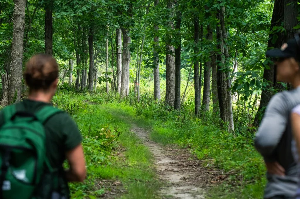 A new study from <a href="/MortonArboretum/">MortonArboretum</a> &amp; <a href="/LifeAtPurdue/">Purdue University</a> reveals 80% of Chicago-area forests are overrun by invasive shrubs like buckthorn &amp; honeysuckle. 

<a href="/BlockClubCHI/">Block Club Chicago</a> highlights the urgency of restoration efforts. Read the full piece: ow.ly/7A3J50WNROW

📸:Colin Boyle