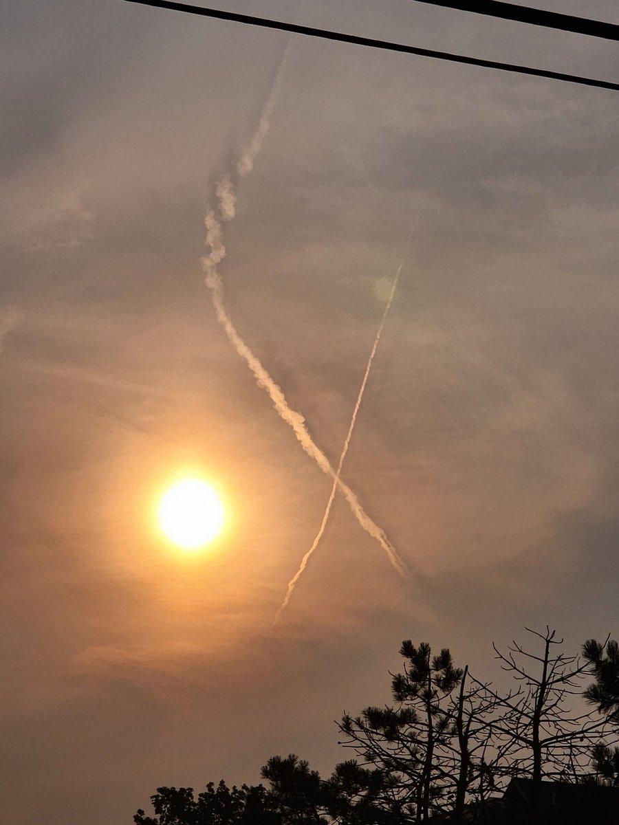 Splintershard tweet media