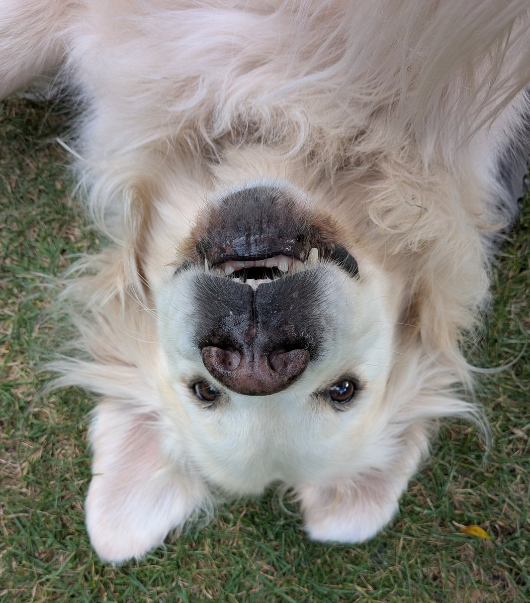 🎶 The world's a better place when it's upside down 🎶