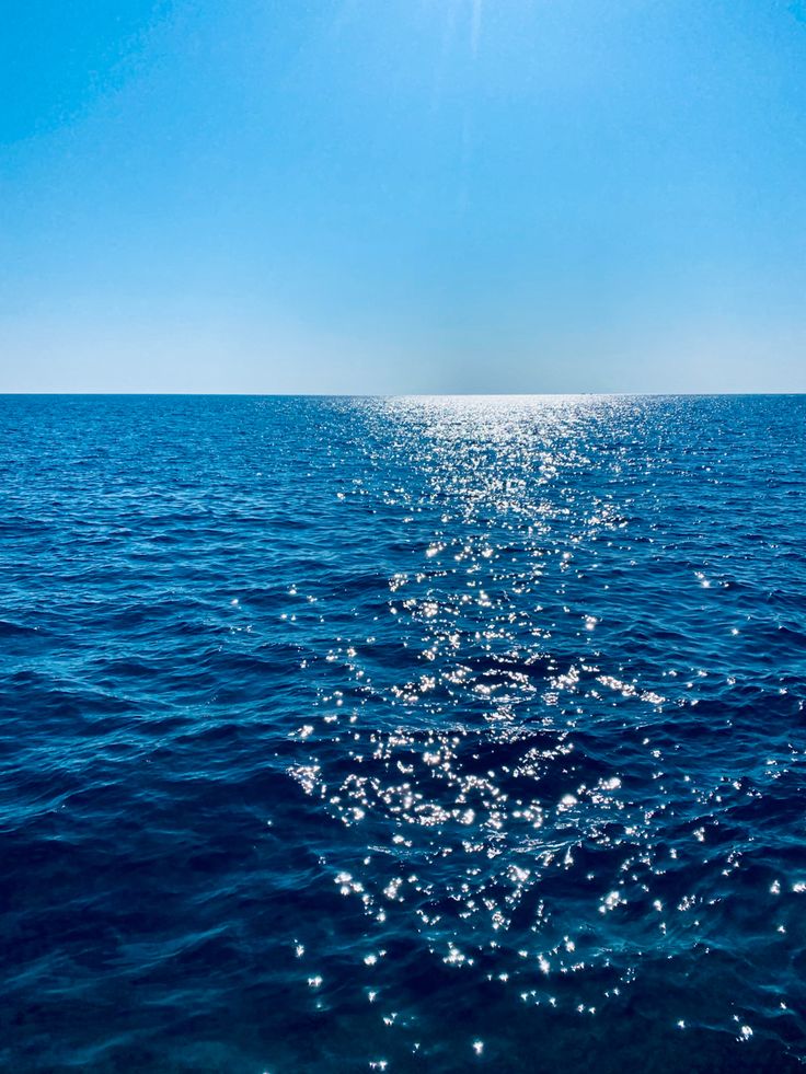 ocean (@hawsett4) on Twitter photo 