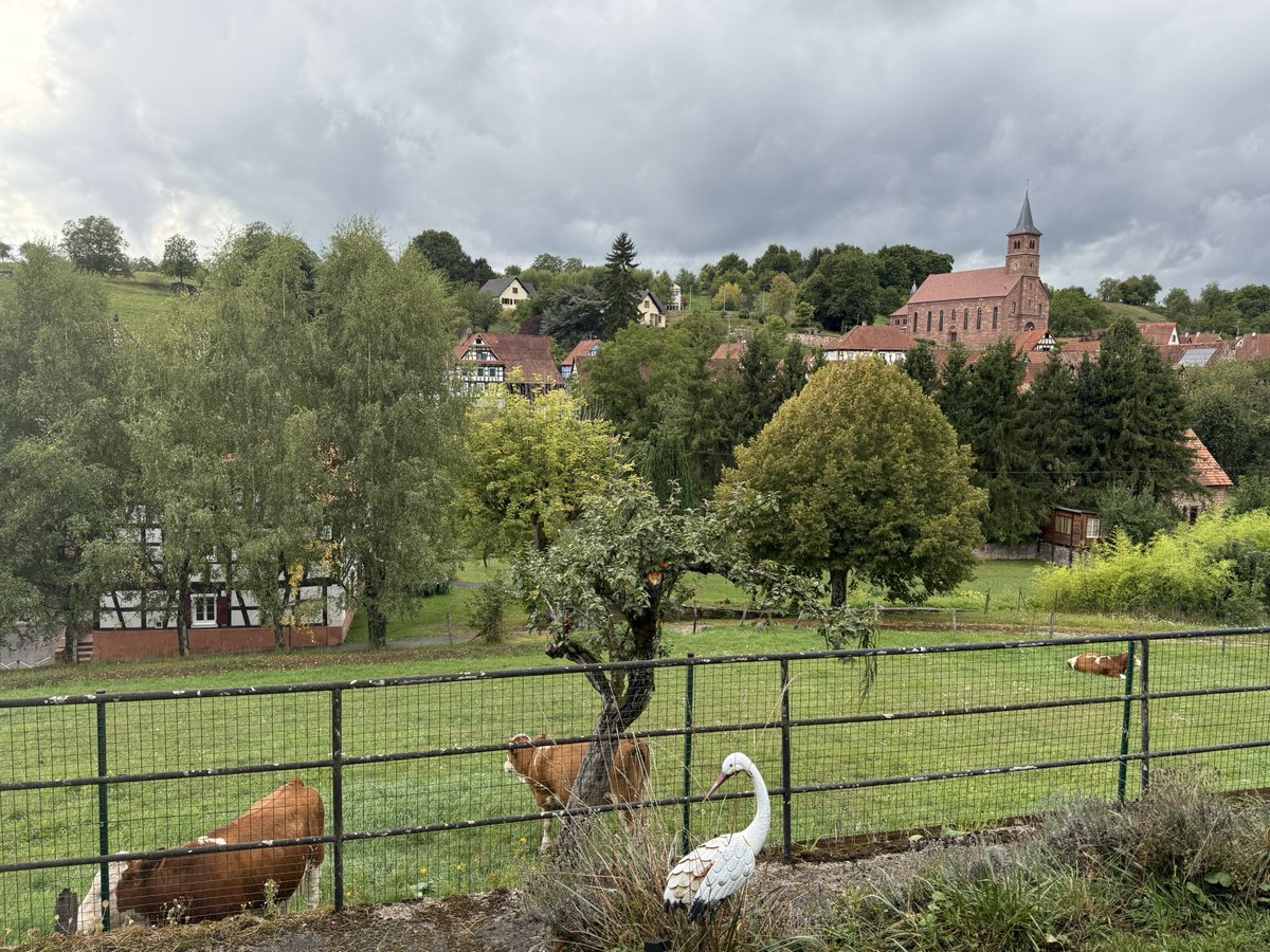 Sabrina Bierlein-Bouyer tweet media