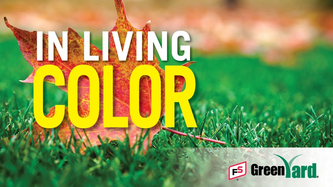 Fall is the best time to overseed your lawn! 

FS GreenYard DELUXE grass seed thrives in sun &amp; shade—perfect for lawns big or small. Seeding rates:
✅ New lawns: 4–5 lbs/1,000 sq ft
✅ Overseed: 2–3 lbs/1,000 sq. ft.
✅ Athletic areas: 8–10 lbs/1,000 sq. ft.

#FallLawnCare