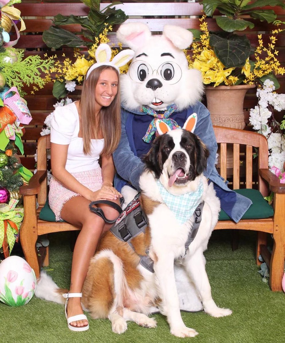 dindaemprit's tweet image. Easter vibes with the cutest bunny in town, and of course my fluffy best friend joining the spring celebration! 🌼🐰🐶#EasterBunny #SpringCelebration #dogloversunite