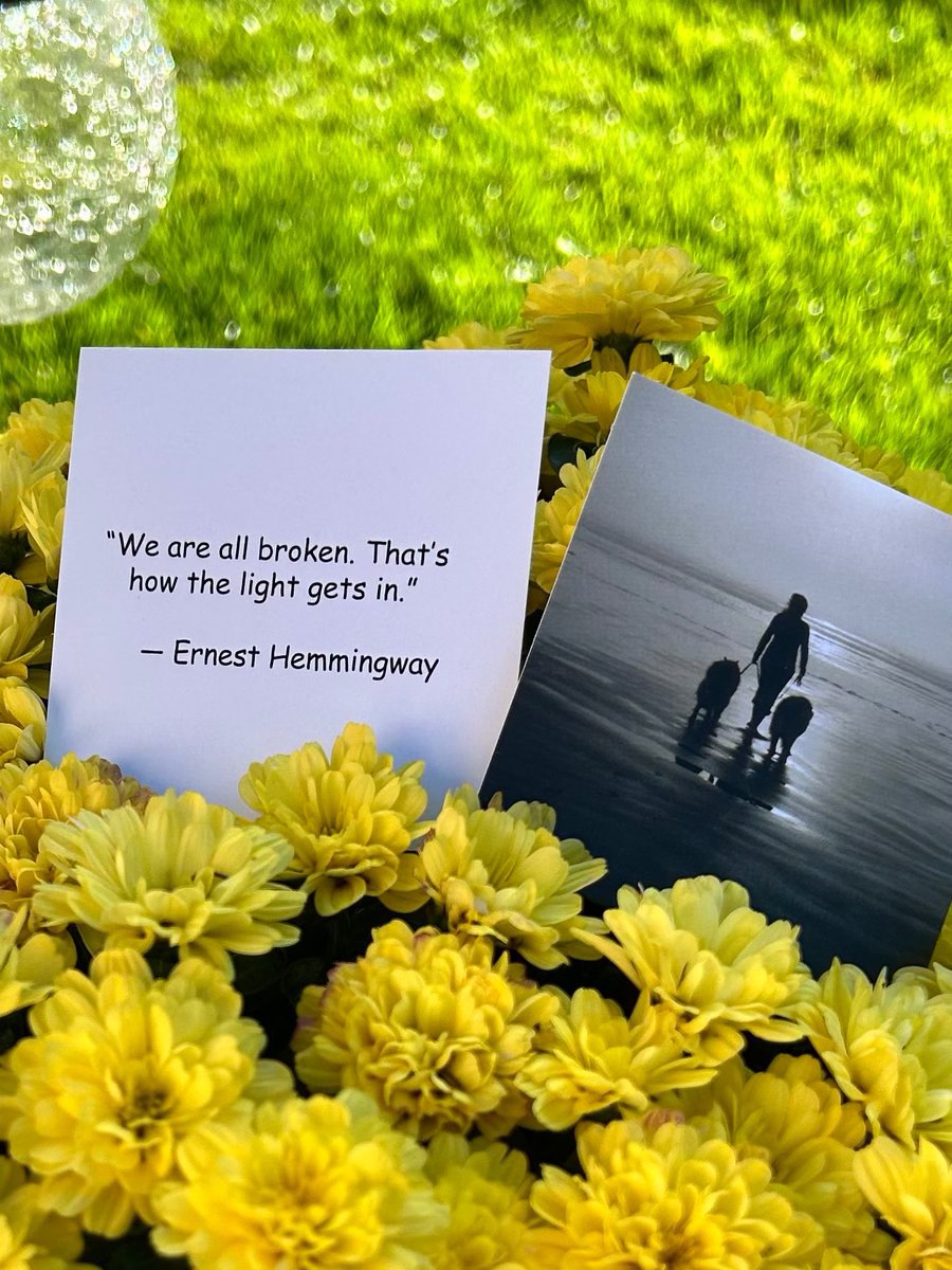maryanne_pope's tweet photo. A kind thought goes a long way for those who are hurting.
Life After Loss quote cards are on sale until September 26. ($6.47 for a pack of 30)
https://t.co/VC7OOzlhe8
#kindnessmatters #HemingwayQuotes #lifeafterloss #griefquotes https://t.co/A8Zl0WrDrM