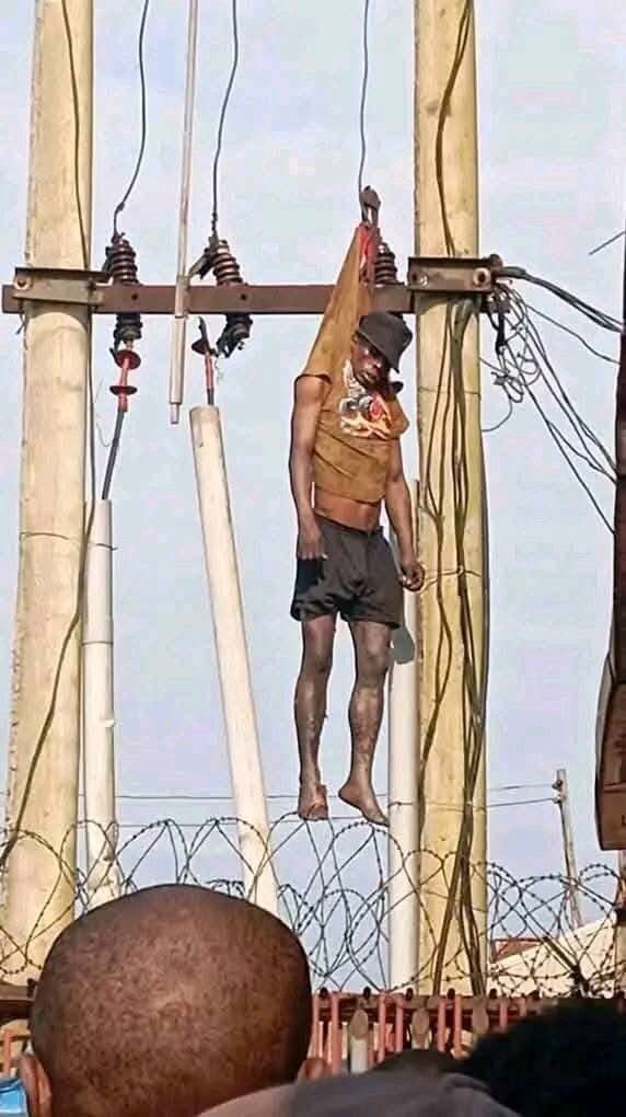 What a life tf is good