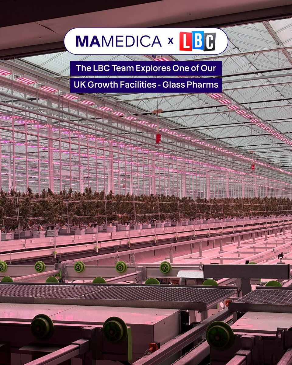MAMEDICA® tweet media
