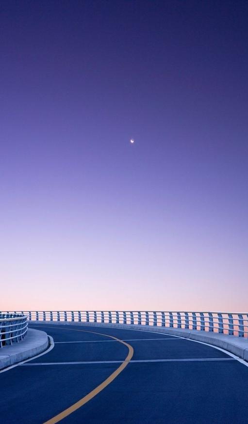 🦴
力を合わせよう！
🐥 😵