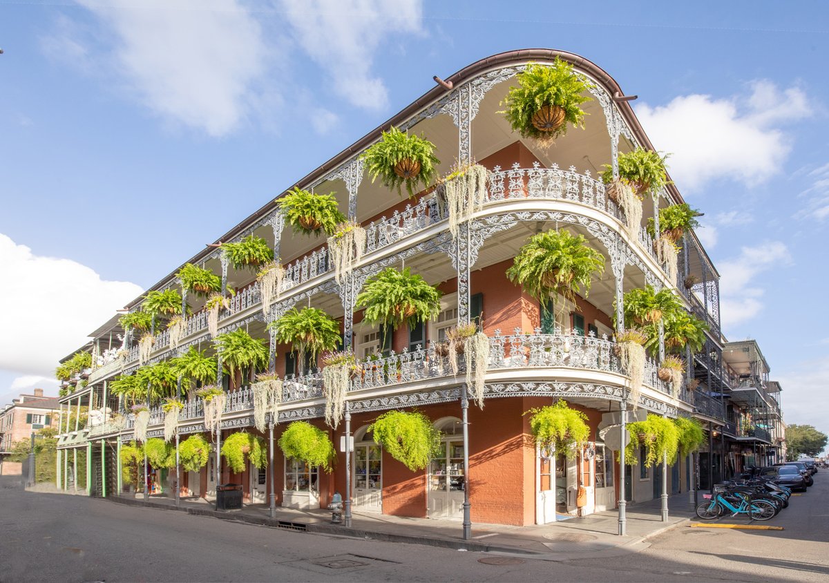 HiltonStCharles's tweet photo. Day one in New Orleans = French Quarter fun. 🎺

From local eats to street music, it’s the heart of the city and we’re just steps away. Ready to explore? Book your stay at Hilton New Orleans St. Charles Avenue now through https://t.co/Cwn2N2L7g8 https://t.co/XH93PC9YWD