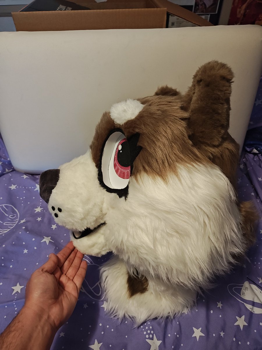 QRFursuits's tweet photo. Affordable !! MQ cute shiba inu girl for sale!! Lined inside.    Vision is a bit flawed, you can definitely see out of it but is a little obscured out of left eye. A few visibile stitches too.
Asking 300 USD + ship. 
She has a cute heart on her neck!!  #furry #fursuit https://t.co/SFnlden9vr