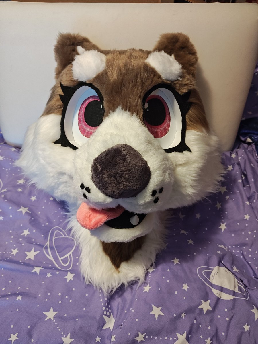 QRFursuits's tweet photo. Affordable !! MQ cute shiba inu girl for sale!! Lined inside.    Vision is a bit flawed, you can definitely see out of it but is a little obscured out of left eye. A few visibile stitches too.
Asking 300 USD + ship. 
She has a cute heart on her neck!!  #furry #fursuit https://t.co/SFnlden9vr