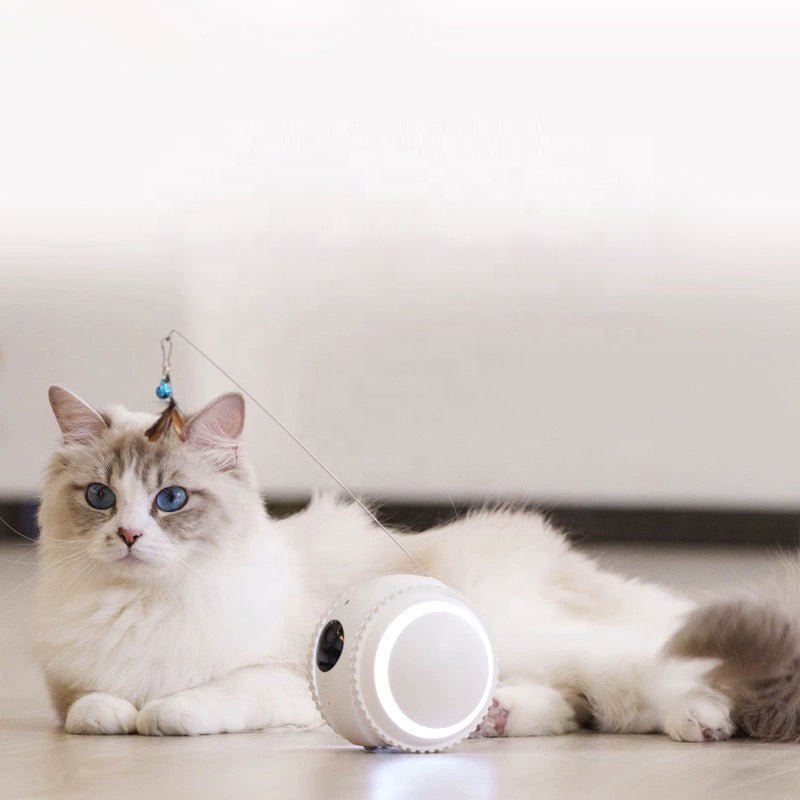 CalmShops's tweet image. Keep an eye on your cat with the Pet-mate AI Smart Robot! Real-time engagement &amp;amp; peace of mind for £99.95. Blends into your home while keeping your cat entertained. 🐱📷 #PetTech calmshops.co.uk/products/inter…