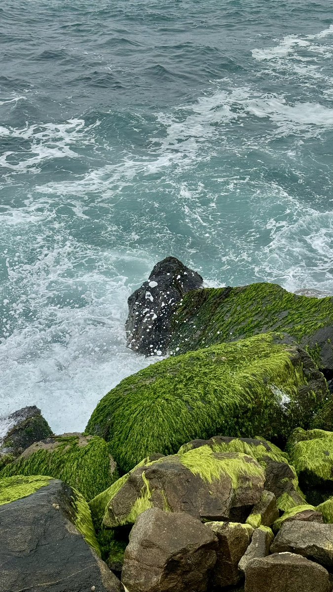 رجلٍ لا منّه حضر تدري به الديره
مــا باقي الاّ ترّحب به .. شوارعها

🌊.
