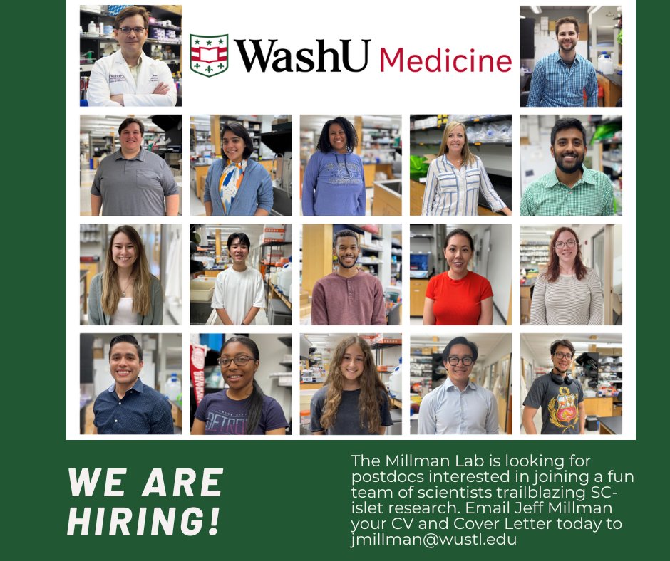[please retweet] I’m #hiring! The Millman Lab is looking for a postdoctoral researcher to lead an exciting new project focused on vascularized #stemcell-derived islets for #diabetes disease modeling and cell replacement therapy. Email me your CV and cover letter.