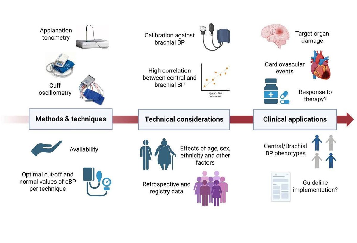 ✅️ New Editorial iin @EJPC
We explore how central blood pressure and related phenotypes may help refine the assessment of cardiovascular risk.

❓️Should central &amp; peripheral BP be measured together?

🔺We cover current use, limitations   🔻&amp; future prospects.
<a href="/AKasiakogias/">Alex Kasiakogias</a>