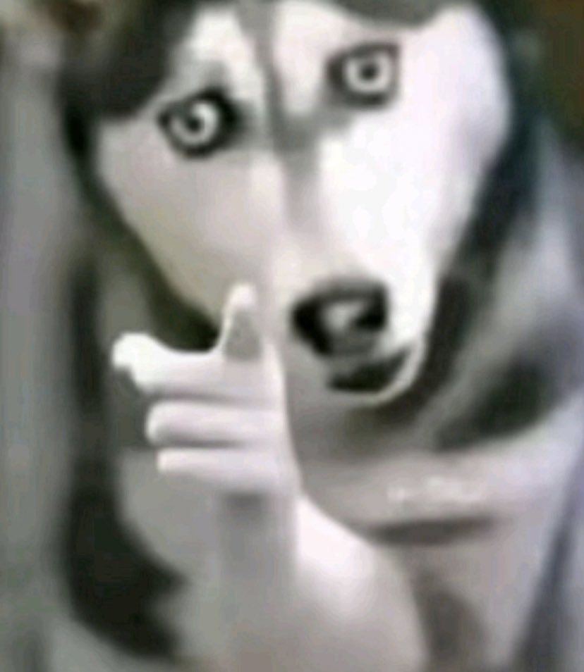 WF_Chuks's tweet image. - Chelsea ❌
World Champions ✅

Know your place 😒