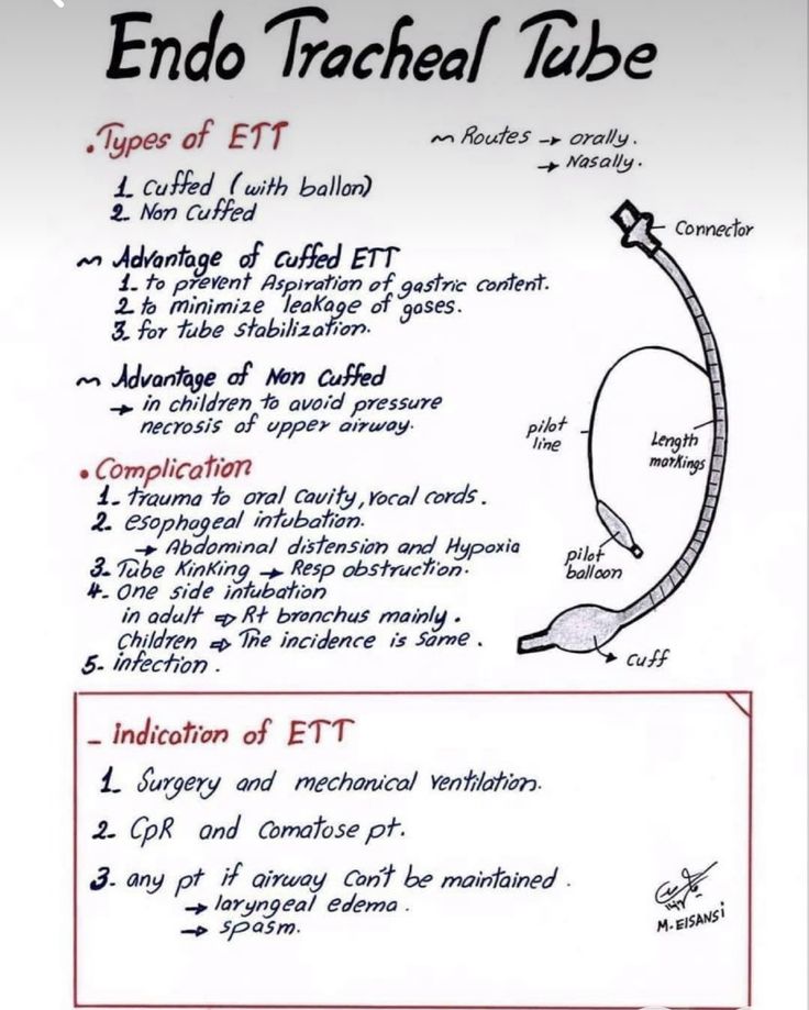 Ahmed Ata (@ahmedata7777) on Twitter photo 