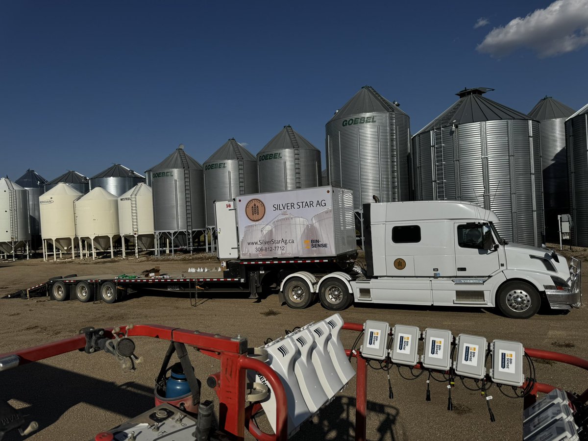 Kyle Boxall 🍁 tweet media