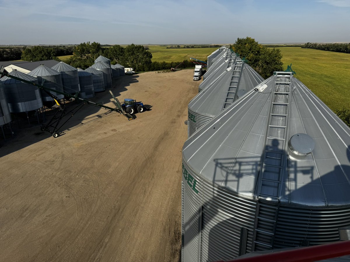 Kyle Boxall 🍁 tweet media