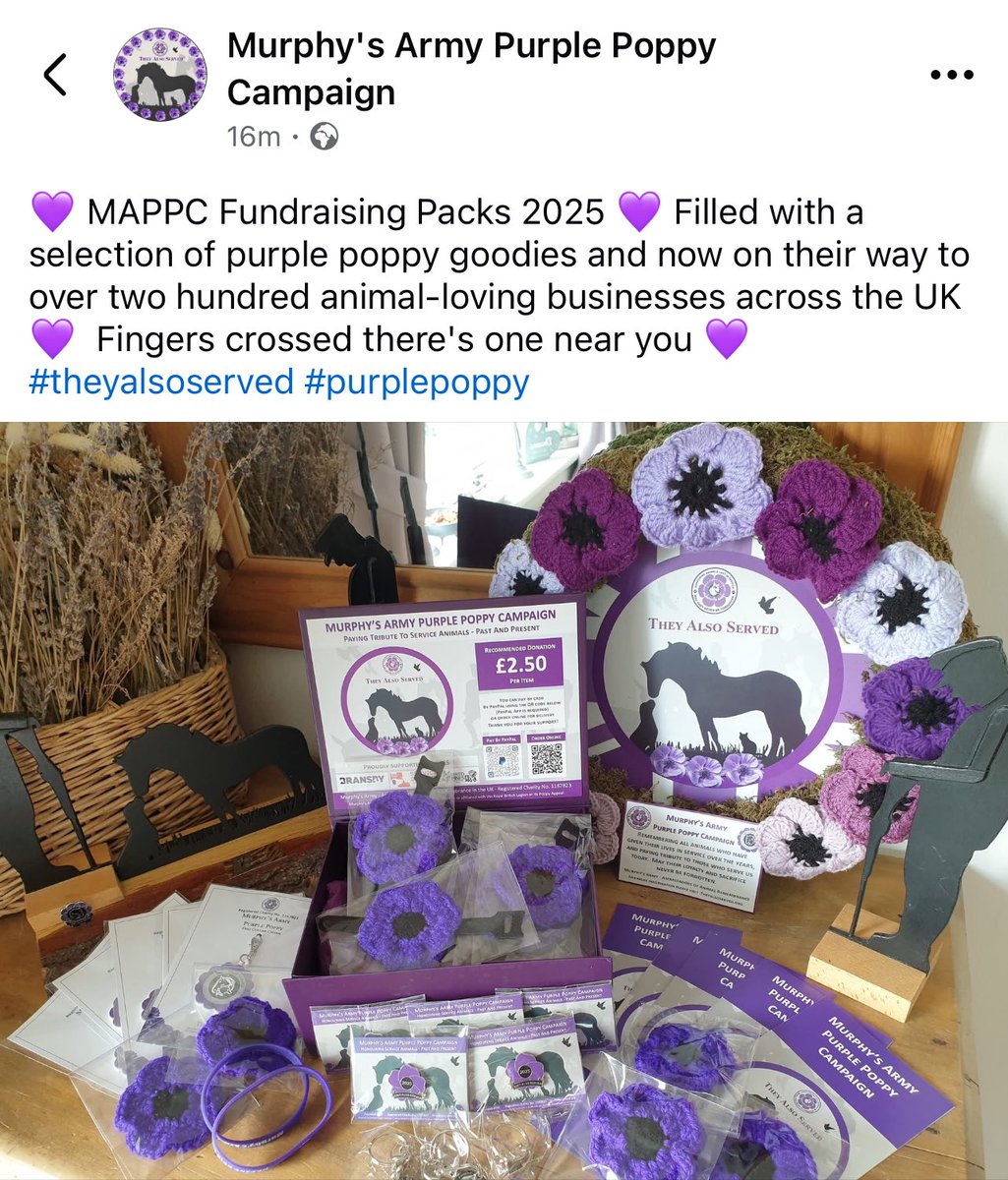 Murphy's Army Purple Poppy Campaign tweet media