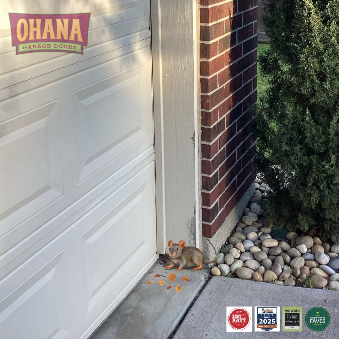 GarageOHANA's tweet image. Looks great. Blocks bugs. Wins all around.
Our jamb wraps seal off those sneaky entry points where critters love to crawl in.✨ Clean, crisp lines + pest control in one solution.📞 346-307-9552
#GarageDoorUpgrade #PestPrevention