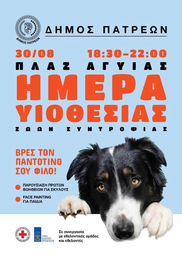 Η προσέλευση πολιτών όλων των ηλικιών για να προσφέρουν ο,τι μπορούσαν στα ζώα που σώθηκαν από τις φλόγες, ήταν συγκινητική. Ευχή να συνεχιστεί η προσέλευση και το Σάββατο και να αδειάσουν όλα τα κλουβιά ✊ Καλή επιτυχία ❤️