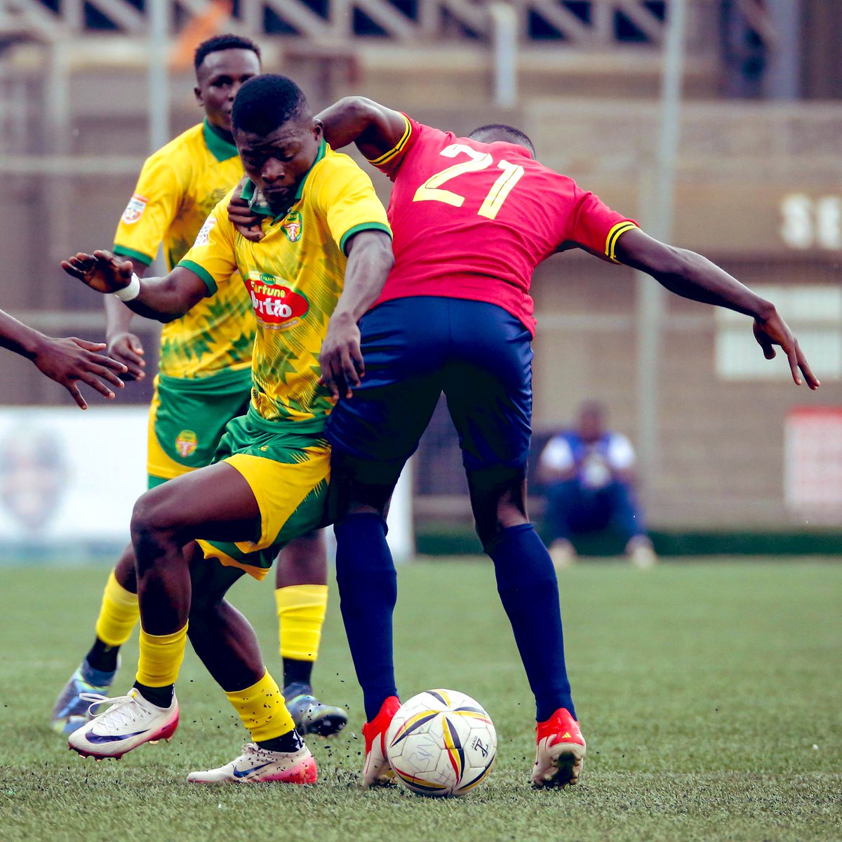 Ibrahim orit tweet media