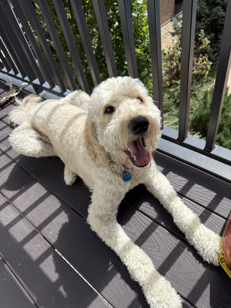 New Appa media  ☺️