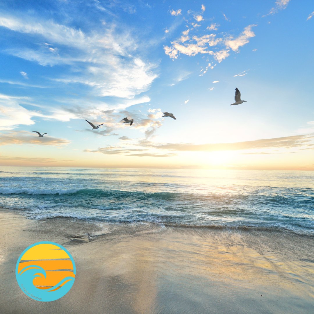 Calling all bird enthusiasts! Check out the Birding Platform near the Destin–Fort Walton Beach Convention Center.