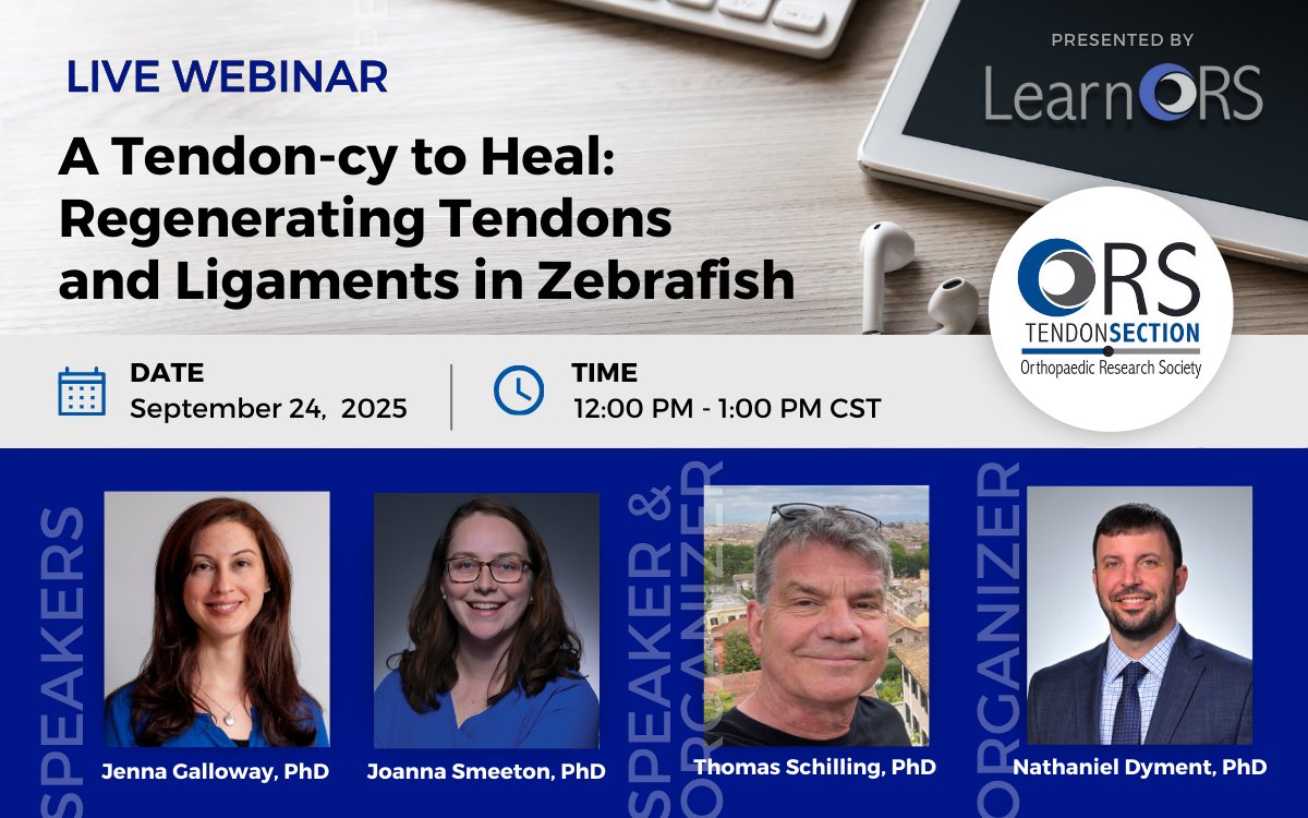ORSsociety's tweet photo. Register now for an @ors_tendon #WebinarWednesday on Sept 24, 12 PM CST, A Tendon-cy to Heal: Regenerating Tendons &amp; Ligaments in Zebrafish. Hear from Thomas Schilling, Jenna Galloway &amp; Joanna Smeeton on the latest #tendon &amp; ligament regeneration. 🔗https://t.co/lsF6fDR6FG https://t.co/wdQhaCOM7M