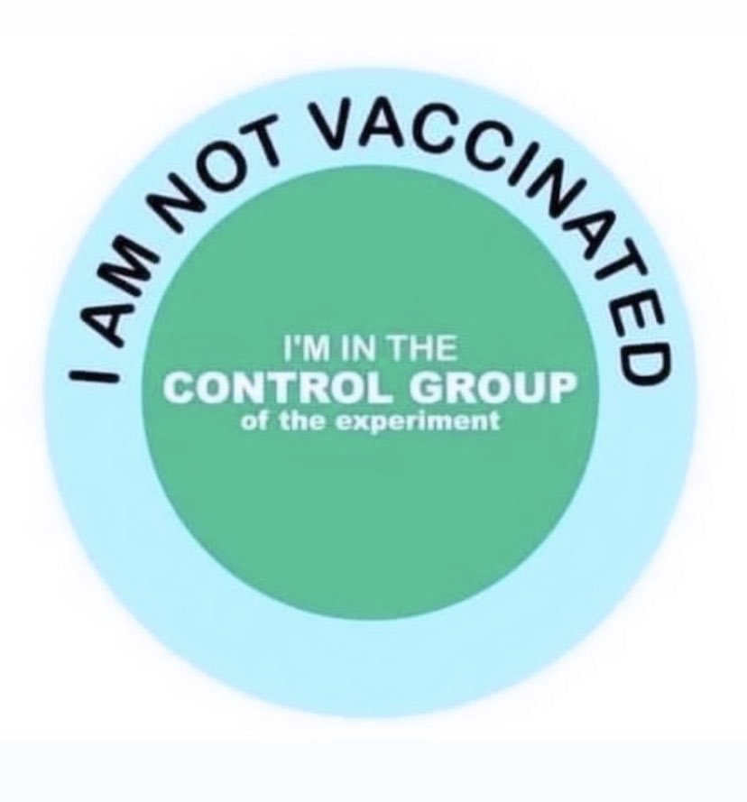 One of the proudest IQ tests I’ve ever taken in my life…