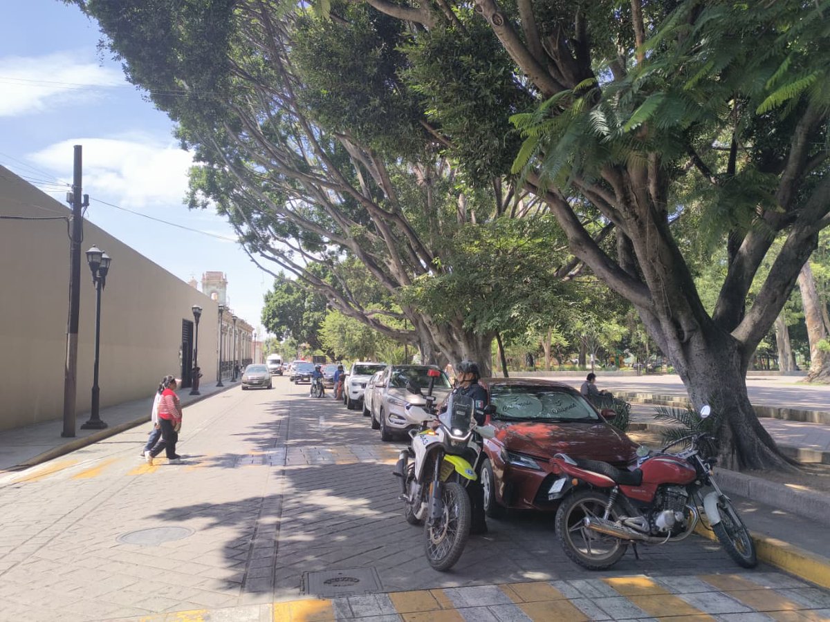 Elementos de la Policía Municipal realizaron patrullajes constantes y recorridos pie a tierra en el Parque El Llano y sus inmediaciones.
Gracias al liderazgo de nuestro presidente municipal <a href="/raychagoya/">Ray Chagoya</a> , Oaxaca de Juárez cuenta con una estrategia de seguridad cercana y efectiva.