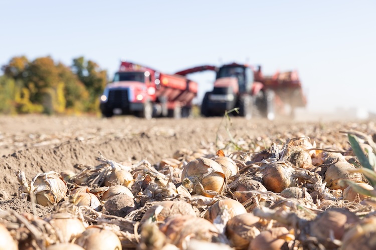 The Ontario Fruit and Vegetable Growers’ Association continues to advocate on several issues including environment and conservation, the SPUD unit and Foodland Ontario. Read more in The Grower’s September issue at thegrower.org
 <a href="/OntFruitVeg/">OFVGA</a> 

thegrower.org/news/ofvga-adv…